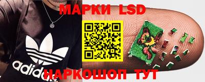 крисы Азнакаево
