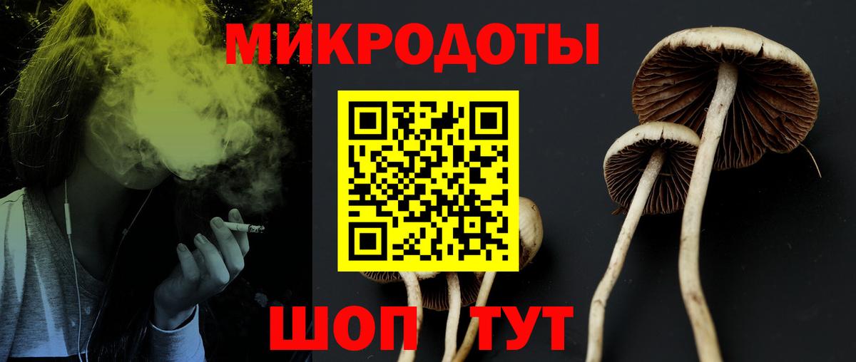Галлюциногенные грибы мицелий  Вход с VPN  Алексин  Галлюциногенные грибы мицелий 