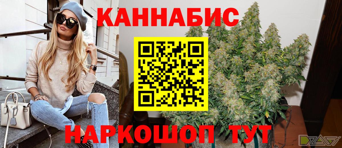 Канабис конопля Алексин